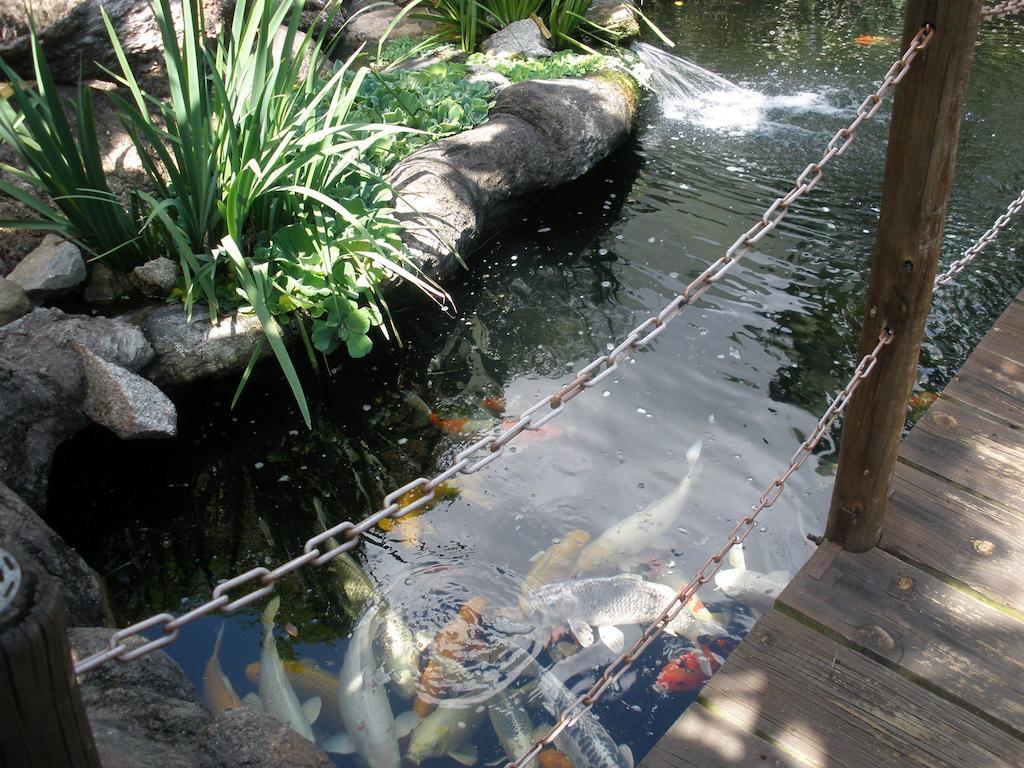 Joern'S Gaestehaus Mbombela ภายนอก รูปภาพ